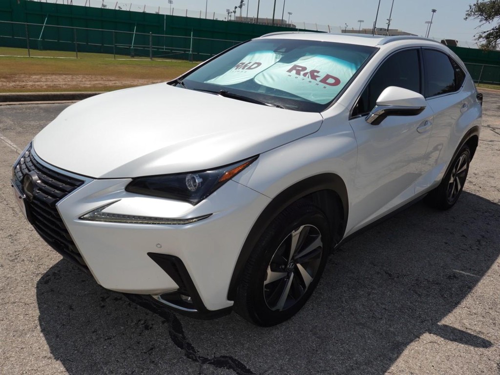 2018 Lexus NX 300 Luxury photo 3