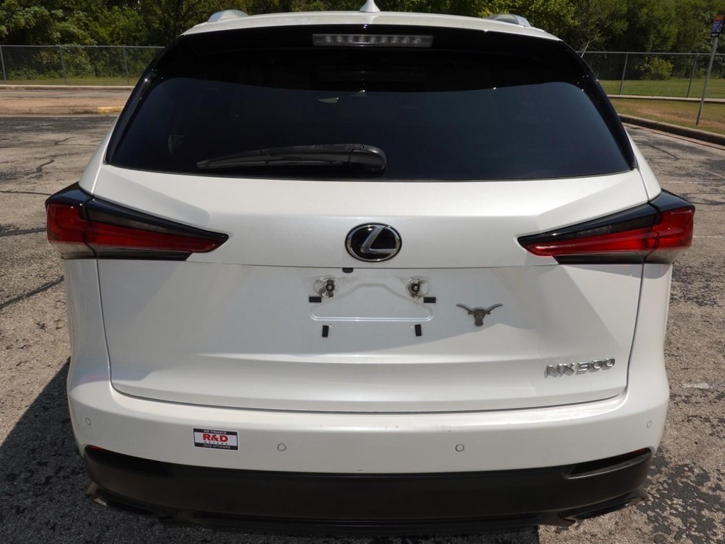 2018 Lexus NX 300 Luxury photo 6
