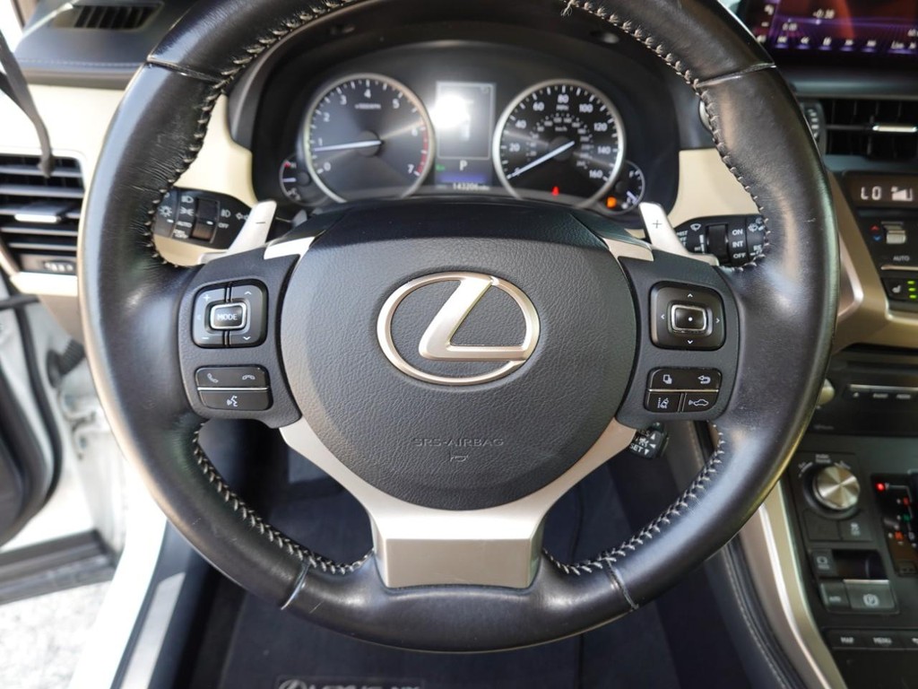 2018 Lexus NX 300 Luxury photo 13