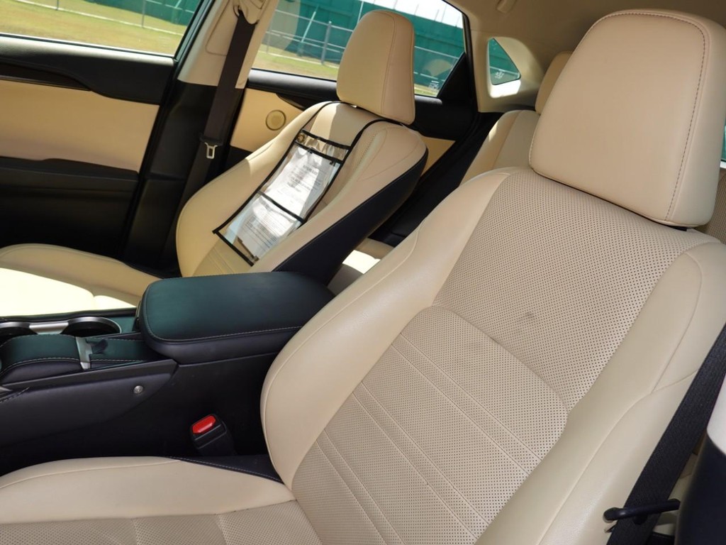2018 Lexus NX 300 Luxury photo 16