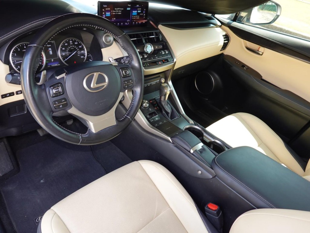 2018 Lexus NX 300 Luxury photo 17