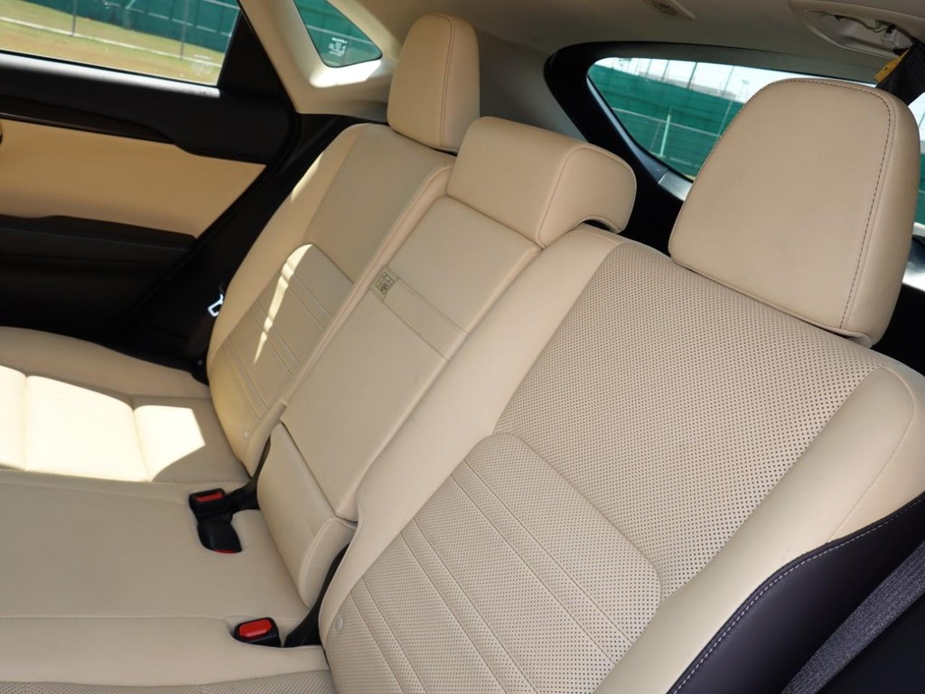 2018 Lexus NX 300 Luxury photo 19
