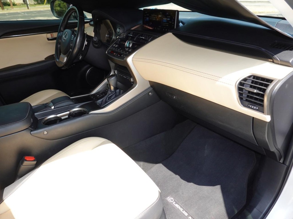 2018 Lexus NX 300 Luxury photo 20