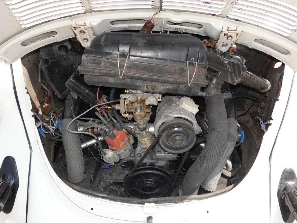 Volkswagen Beetle Vehicle Full-screen Gallery Image 24