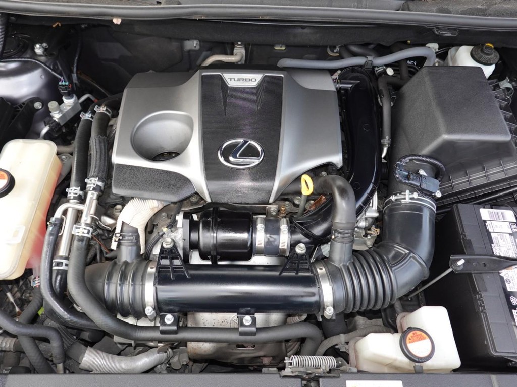 2016 Lexus NX 200t F SPORT photo 29