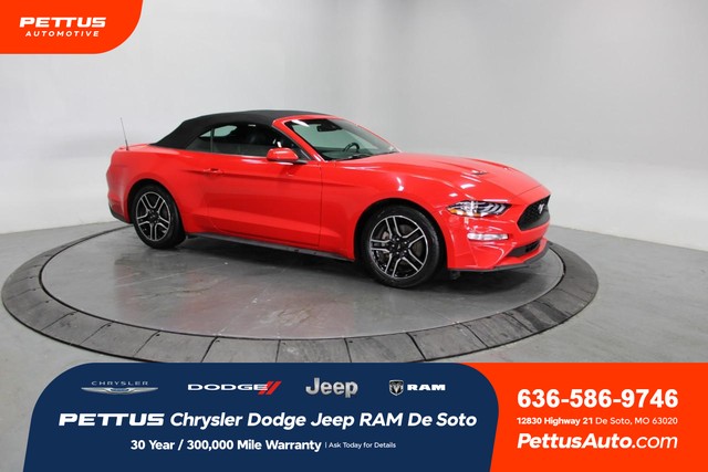 Ford Mustang - 2021 Ford Mustang - 2021 Ford