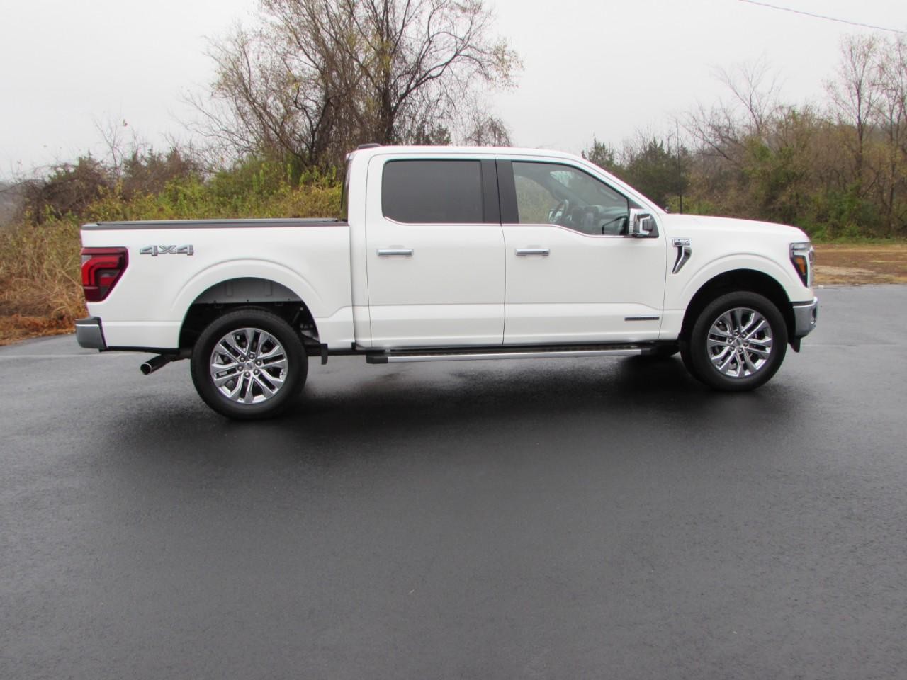 Ford F-150 Vehicle Full-screen Gallery Image 08