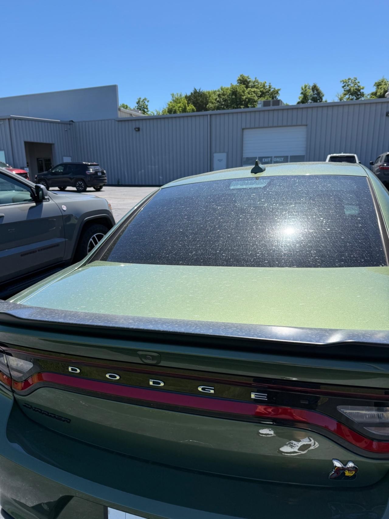 Dodge Charger Vehicle Full-screen Gallery Image 04