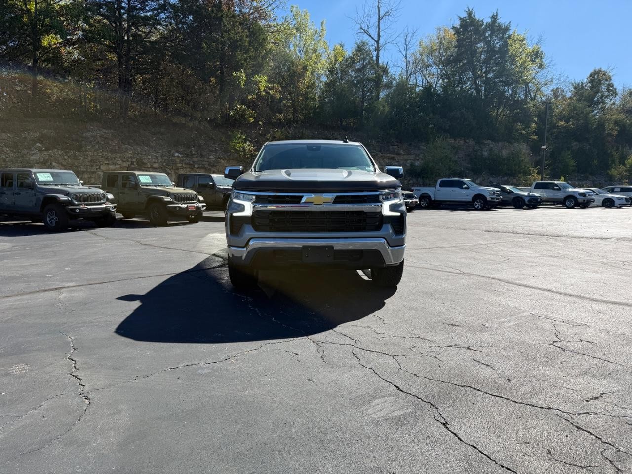 Chevrolet Silverado 1500 Vehicle Full-screen Gallery Image 02