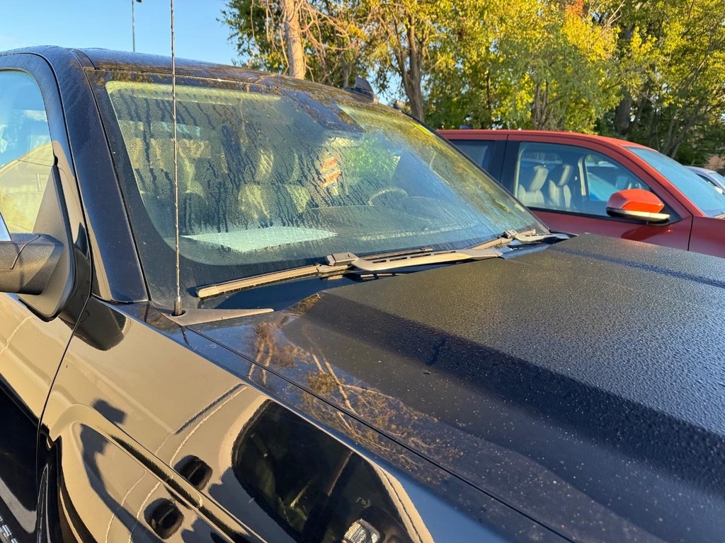 Chevrolet Silverado 1500 Vehicle Full-screen Gallery Image 07