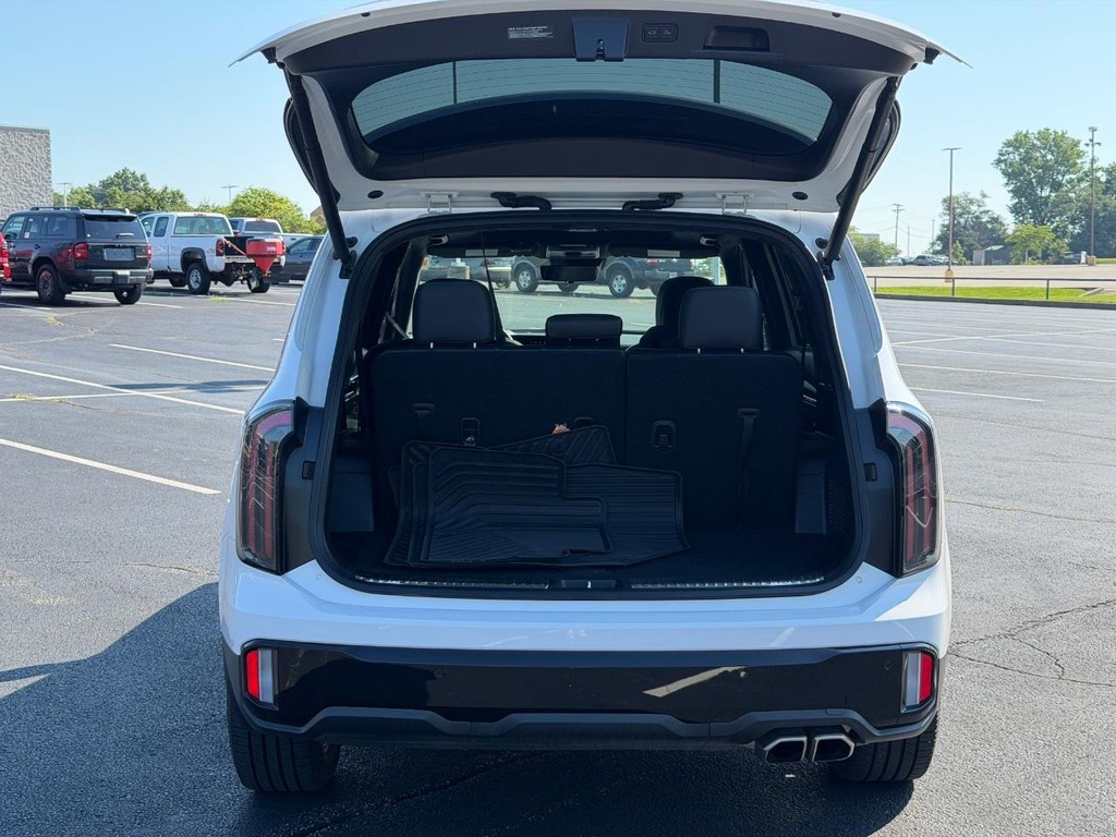 Kia Telluride Vehicle Full-screen Gallery Image 04