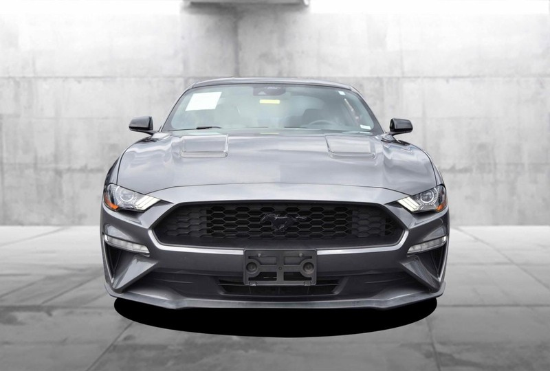 Ford Mustang Vehicle Image 04