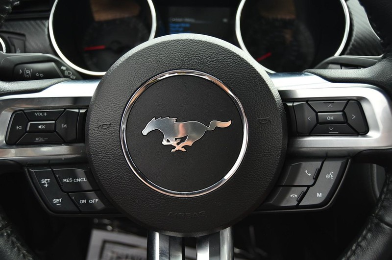 Ford Mustang Vehicle Image 16