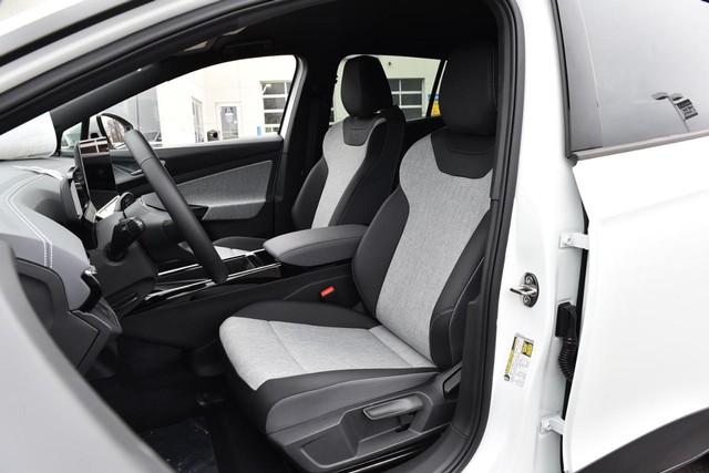 Volkswagen ID.4 Vehicle Image 19