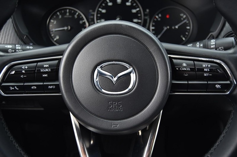 Mazda CX-90 Vehicle Image 19