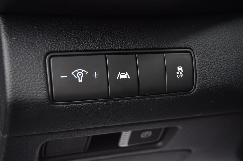 Hyundai Santa Fe Vehicle Image 09