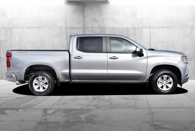 Chevrolet Silverado 1500 Vehicle Image 05