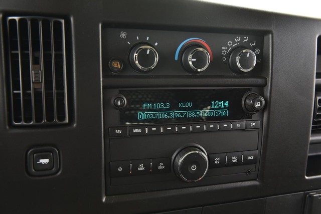 GMC Savana Cargo Van Vehicle Image 13