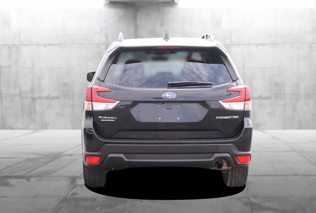 Subaru Forester Vehicle Image 06