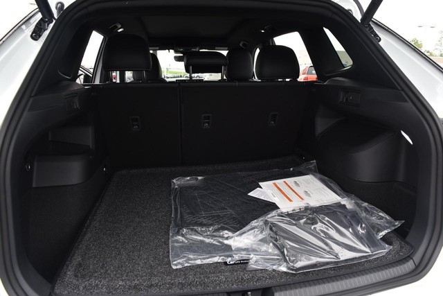 Volkswagen Tiguan Vehicle Image 25