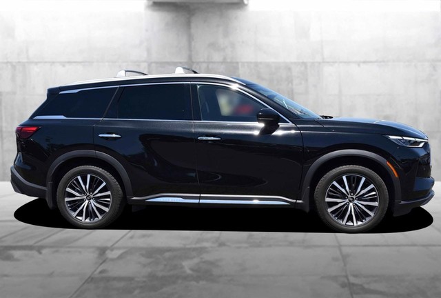 INFINITI QX60 Vehicle Image 05