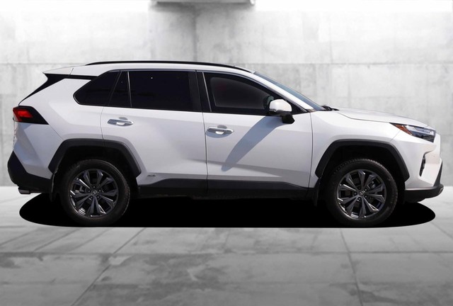 Toyota RAV4 Vehicle Image 05