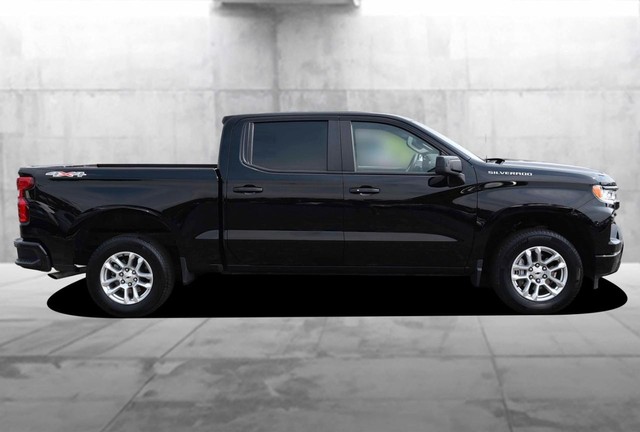 Chevrolet Silverado 1500 Vehicle Image 05