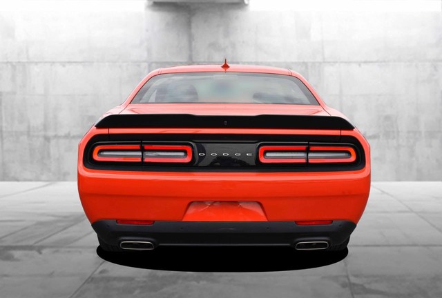 Dodge Challenger Vehicle Image 06