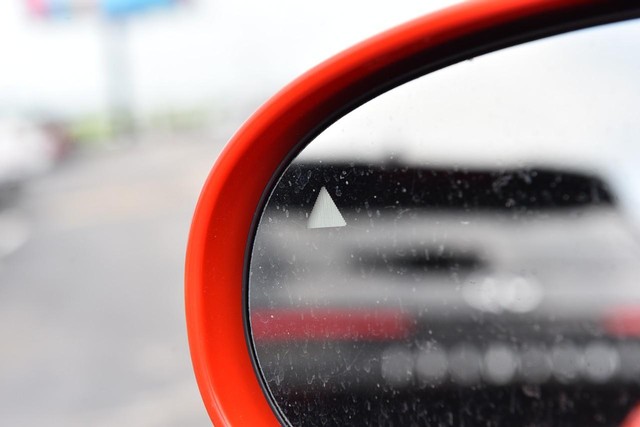 Dodge Challenger Vehicle Image 12