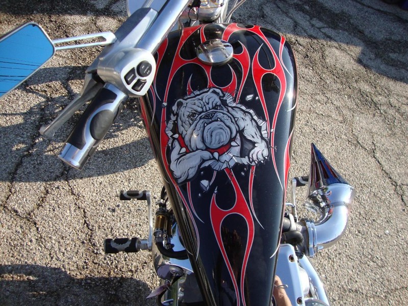 Other BIG DOG Vehicle Full-screen Gallery Image 07