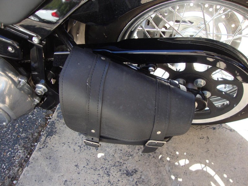 Harley-Davidson FXST STANDARD Vehicle Full-screen Gallery Image 05