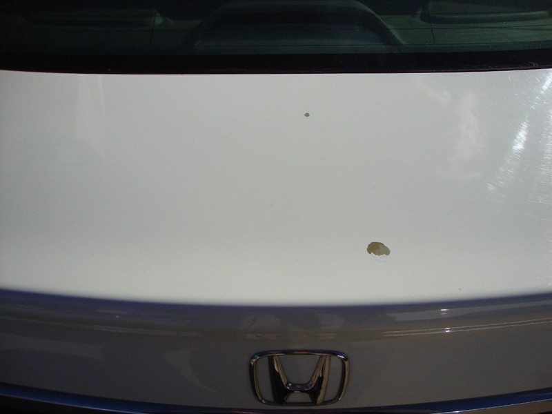 Honda Civic Sedan Vehicle Full-screen Gallery Image 18