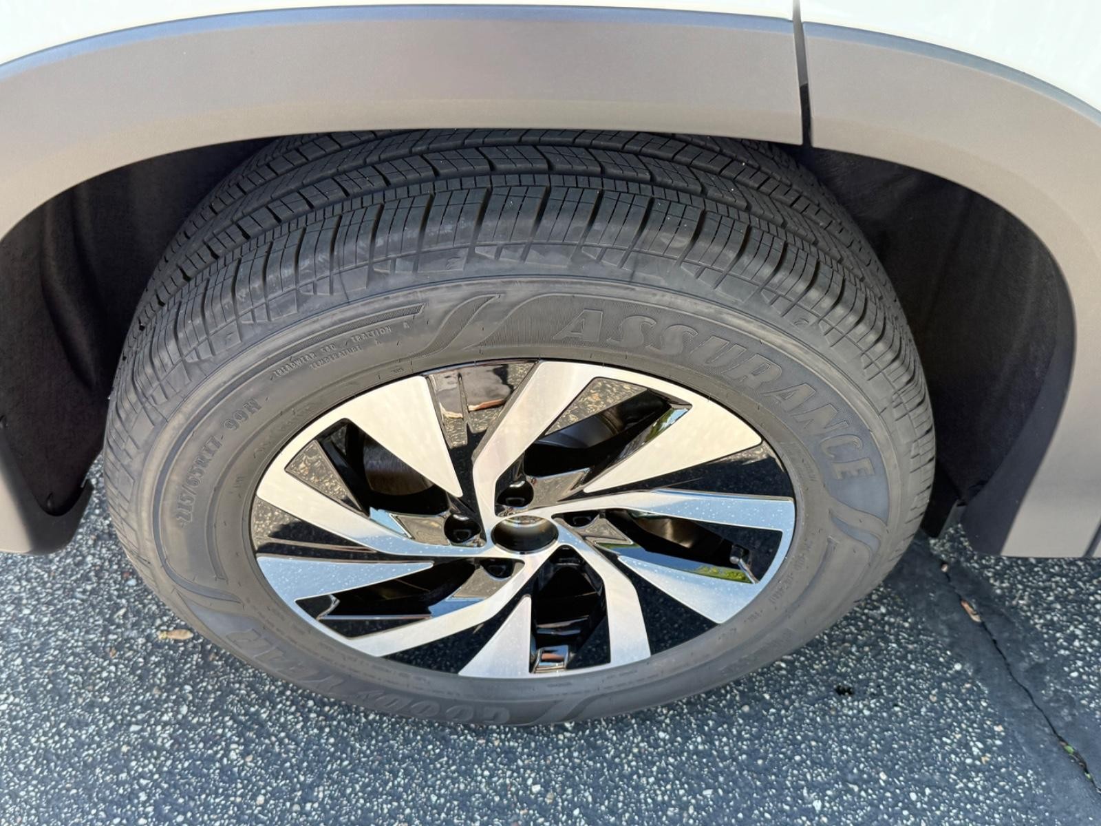 Volkswagen Tiguan Vehicle Image 04