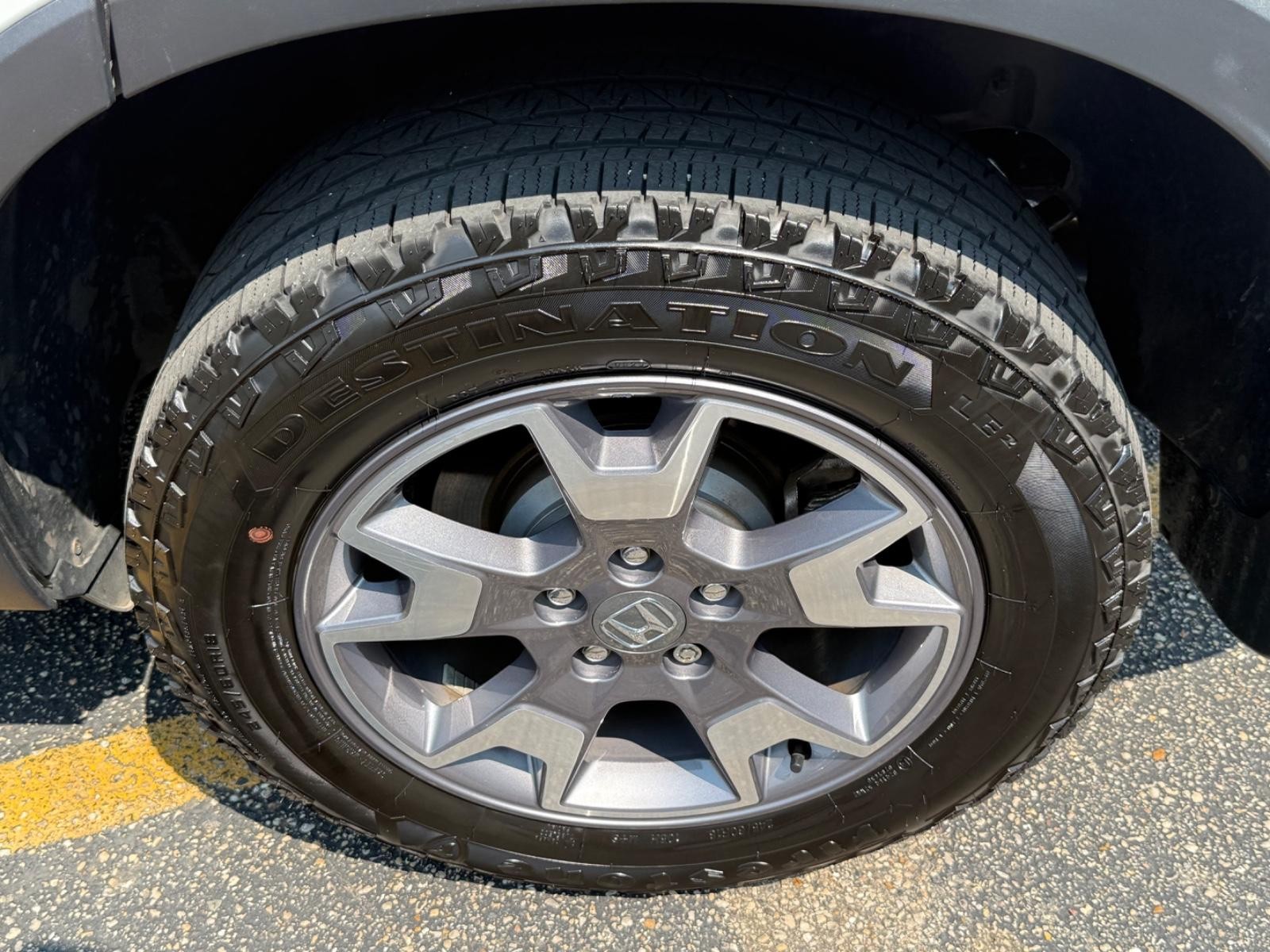 Honda Passport Vehicle Image 07