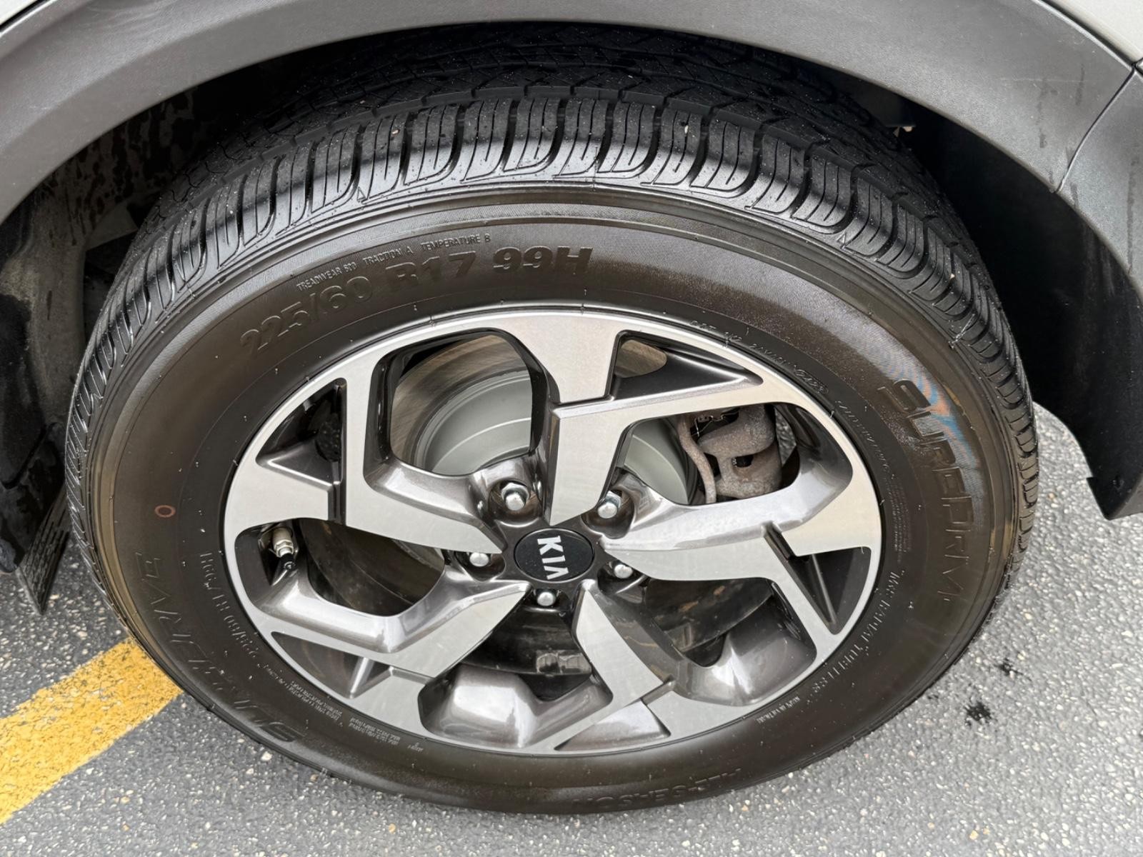 Kia Sportage Vehicle Image 07