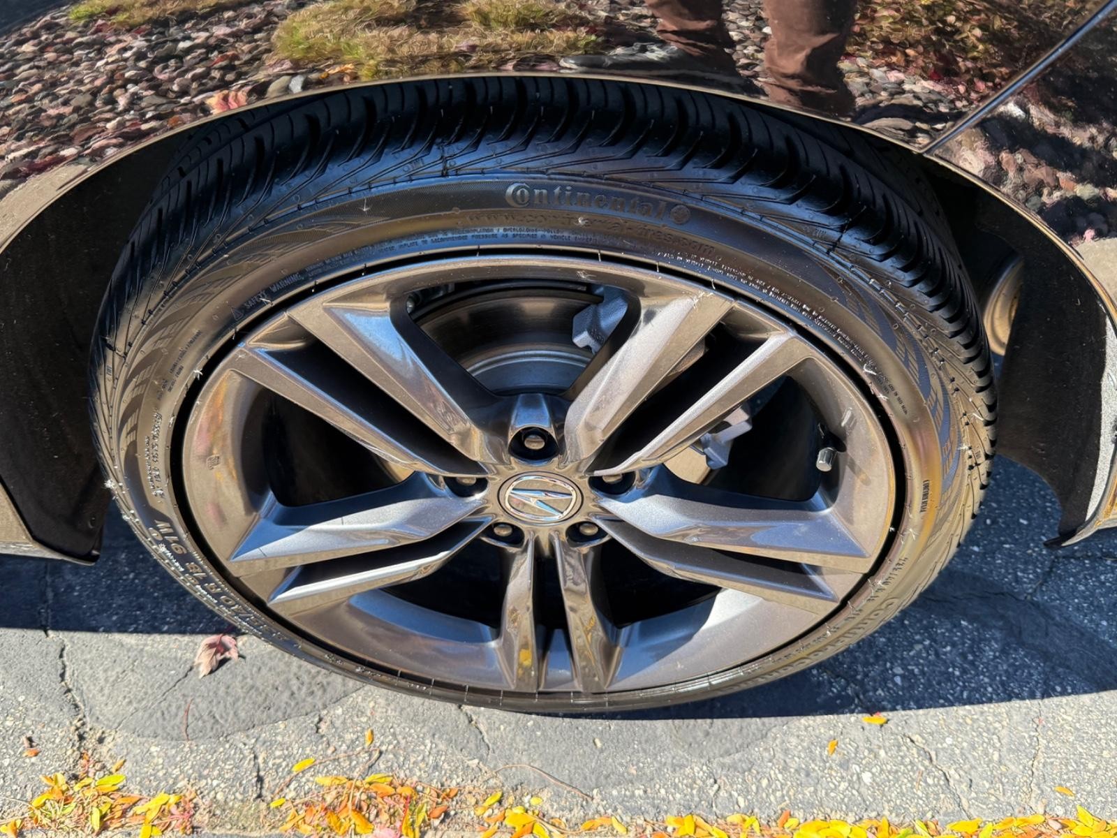 Acura Integra Vehicle Image 06