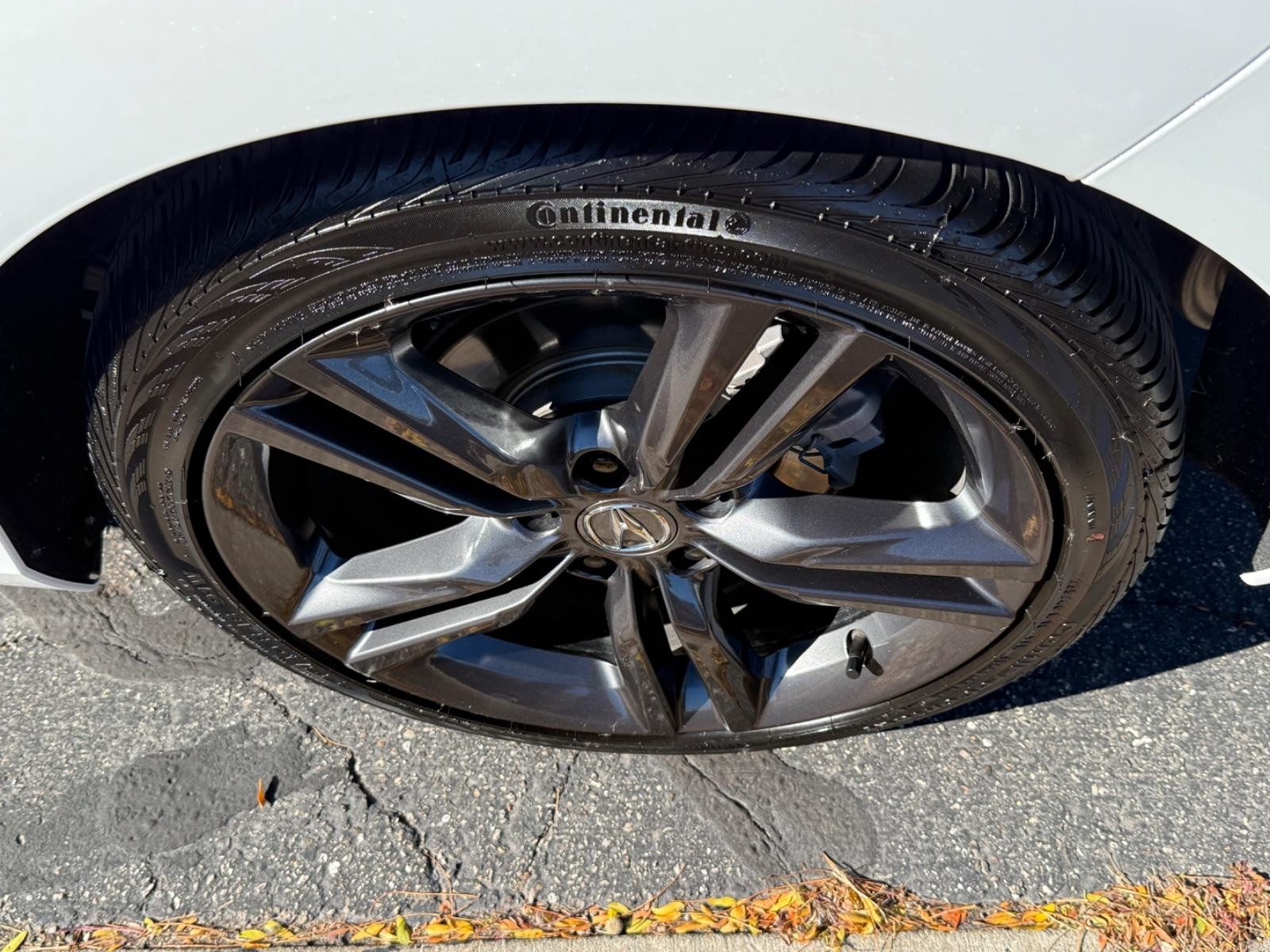 Acura Integra Vehicle Image 06