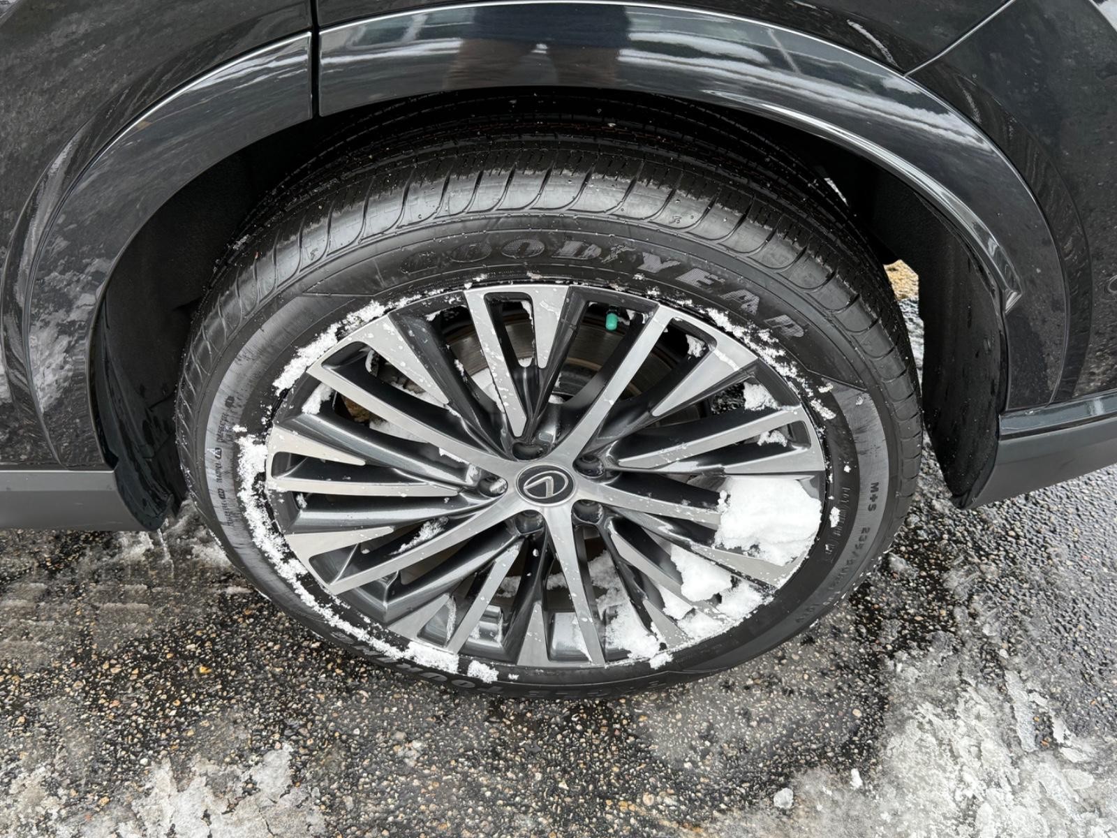 Lexus RX Vehicle Image 06