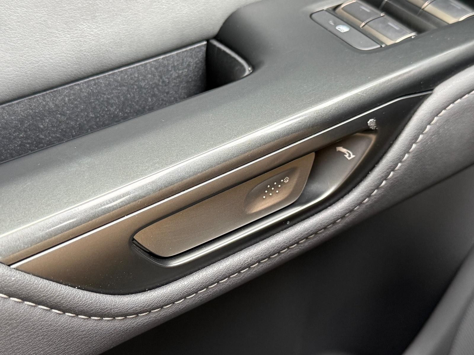 Lexus RZ Vehicle Image 23