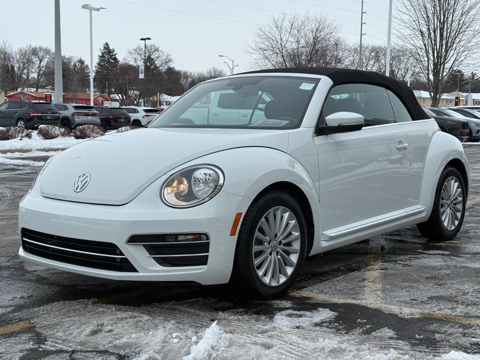 Volkswagen Beetle Convertible Vehicle Image 08