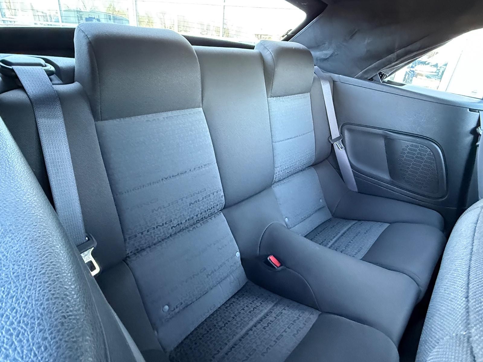 Ford Mustang Vehicle Image 09