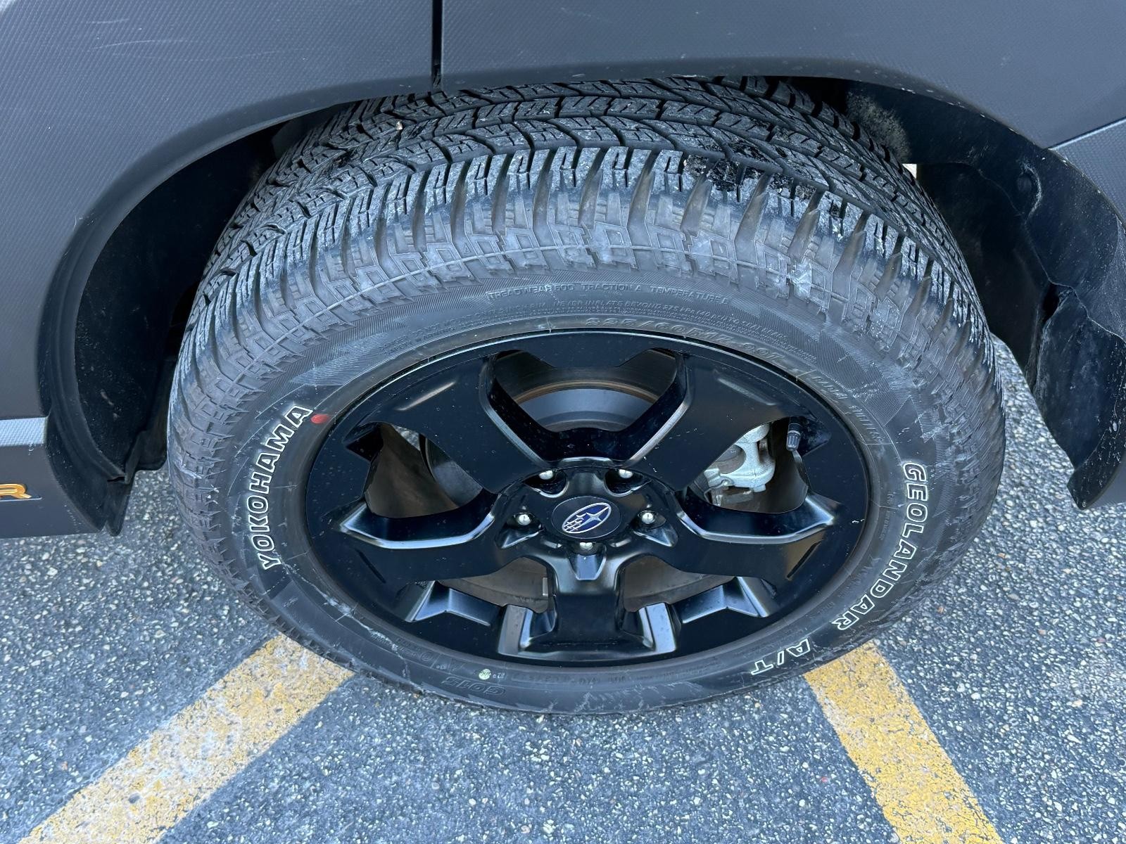 Subaru Forester Vehicle Image 07