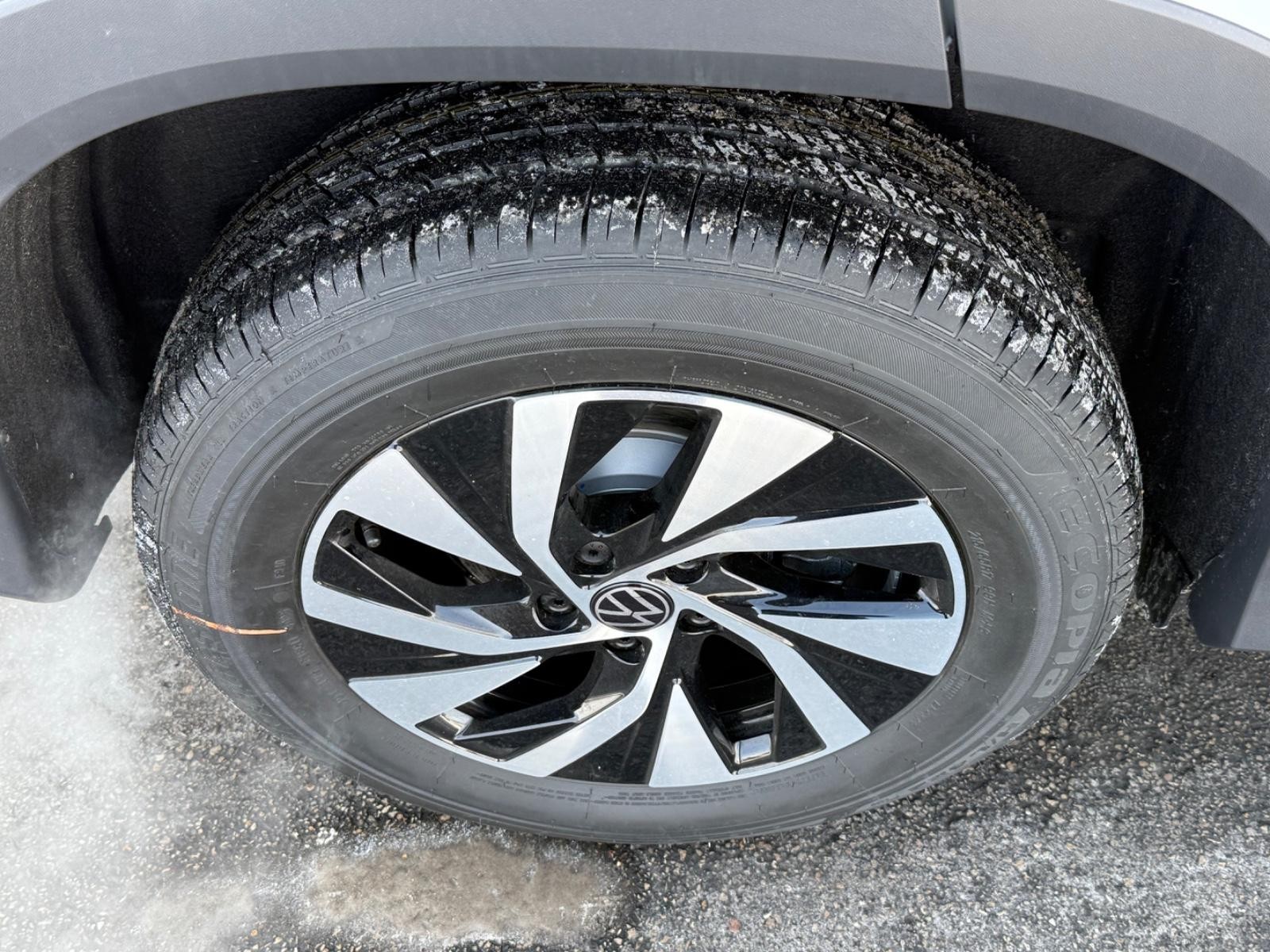 Volkswagen Tiguan Vehicle Image 04