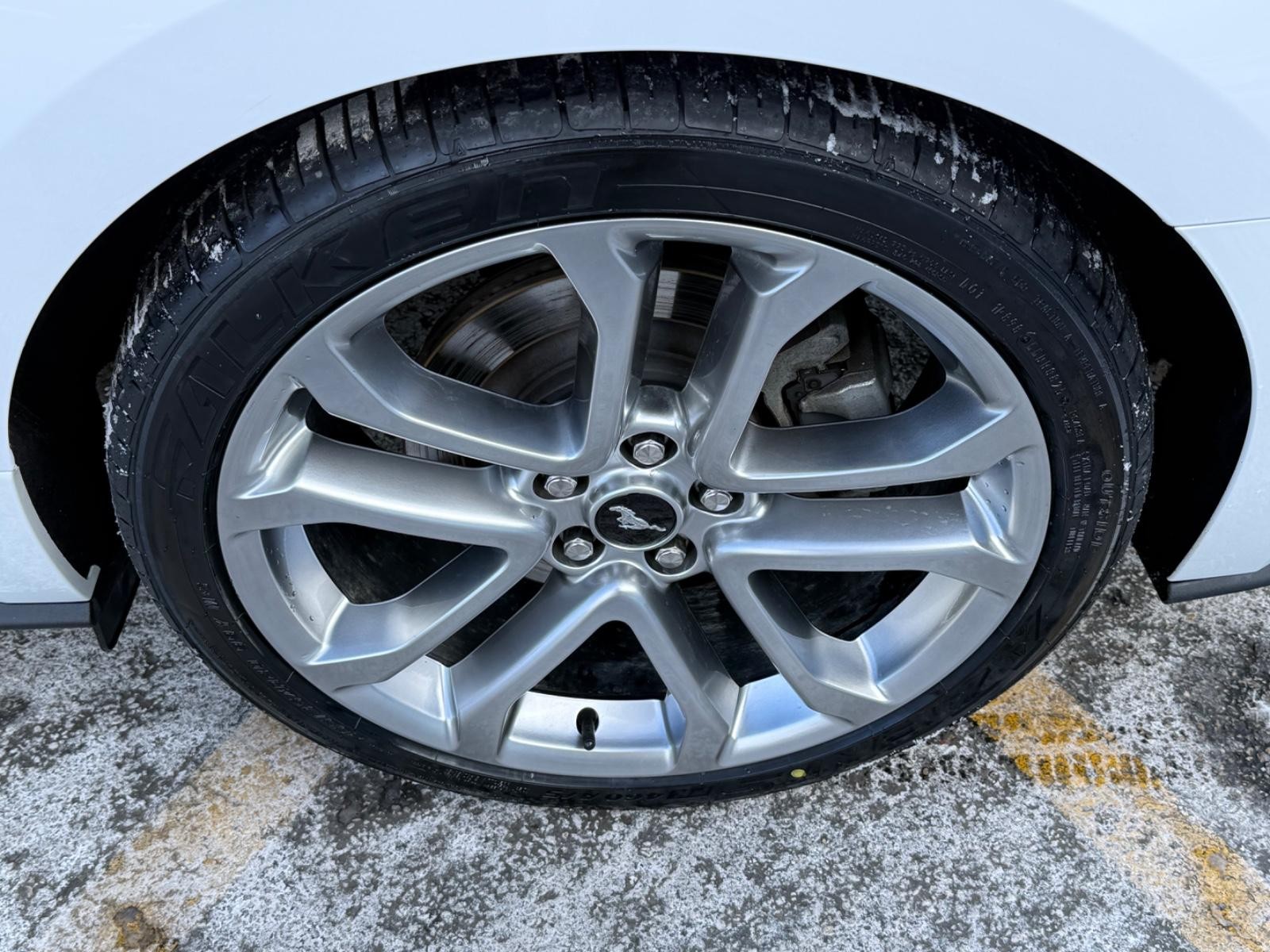 Ford Mustang Vehicle Image 06