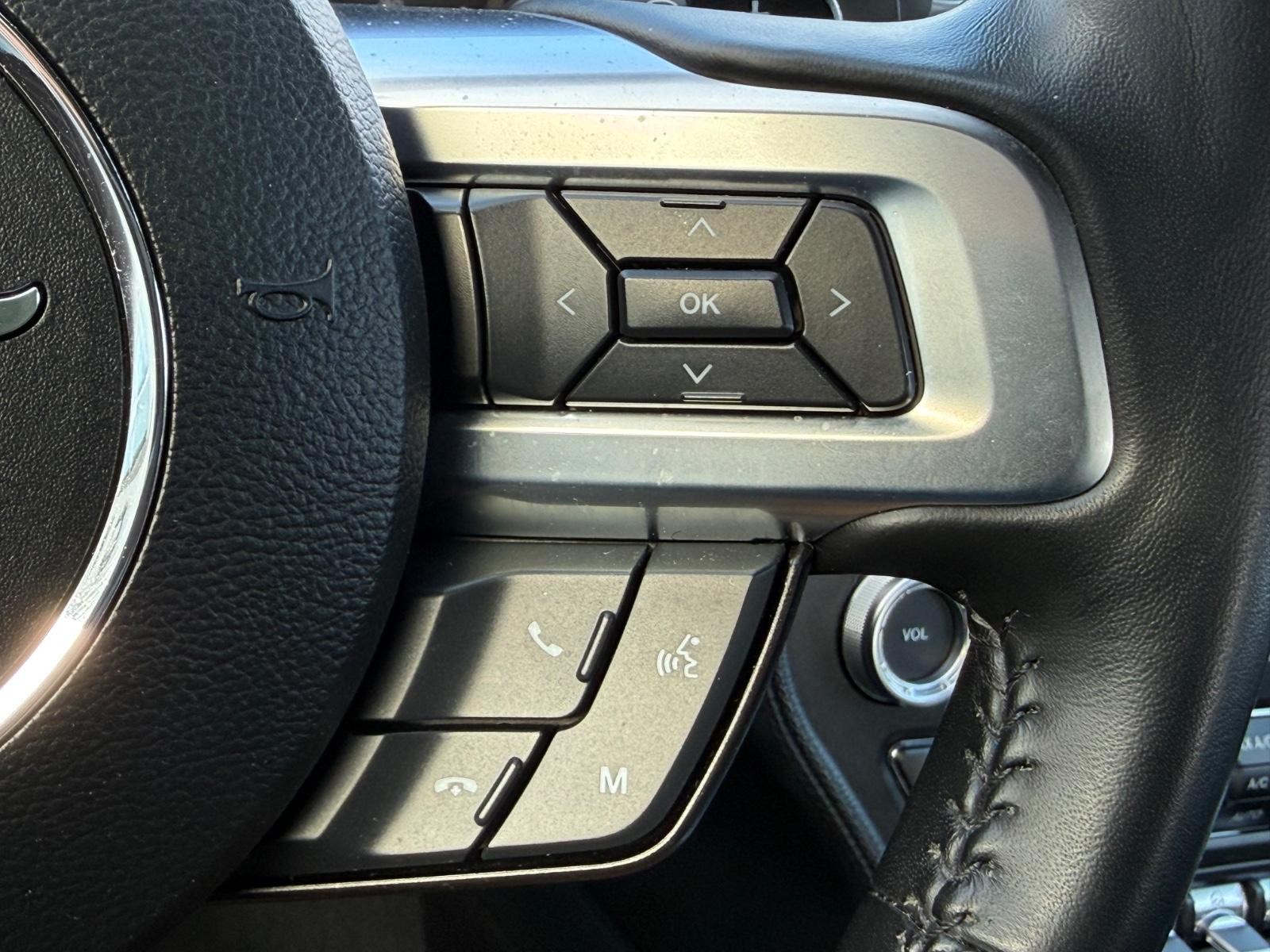 Ford Mustang Vehicle Image 16