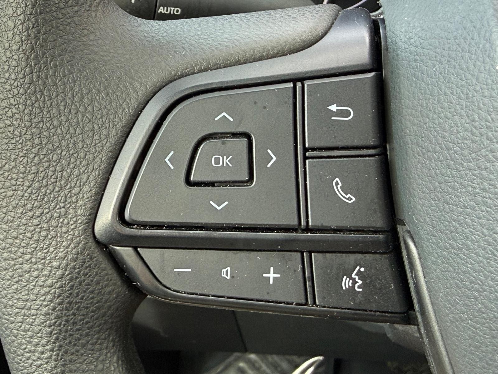 Toyota Sienna Vehicle Image 17