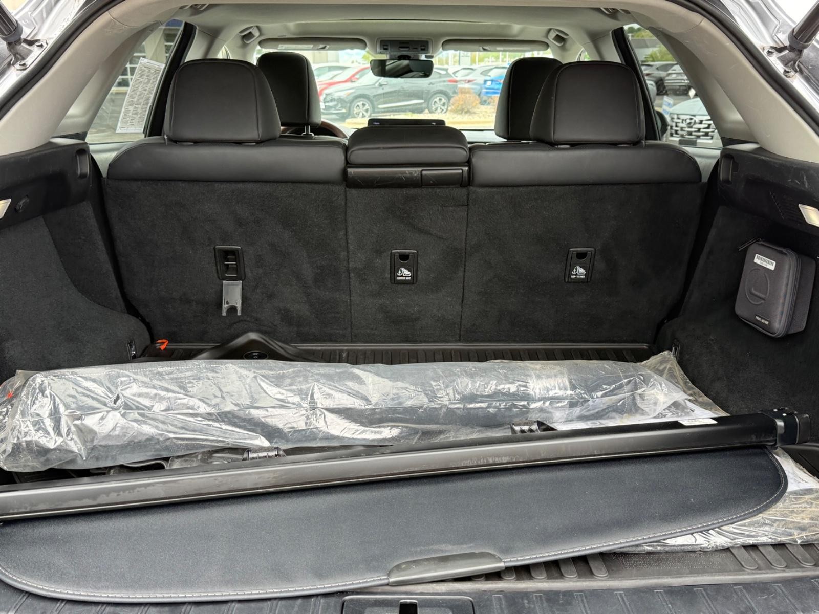 Lexus RX Vehicle Image 05