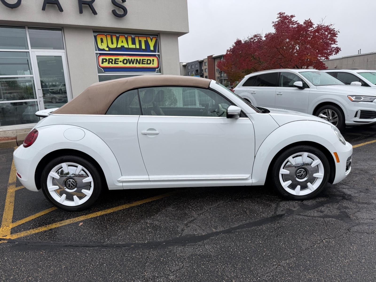 Volkswagen Beetle Convertible Vehicle Image 02