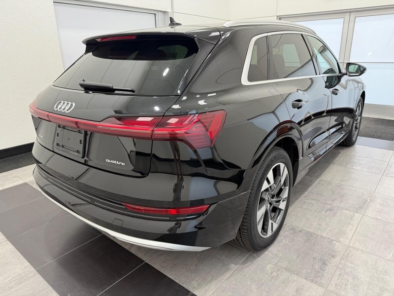 Audi e-tron Vehicle Image 2