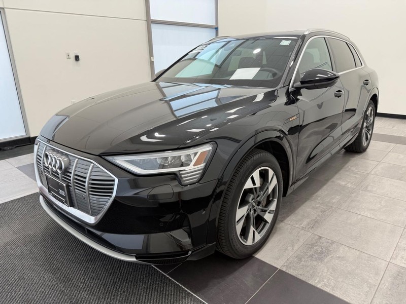 Audi e-tron Vehicle Image 6